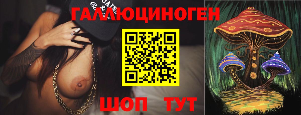 Галлюциногенные грибы Psilocybe  Псилоцибиновые грибы мухоморы  Хабаровск  Вход с VPN 